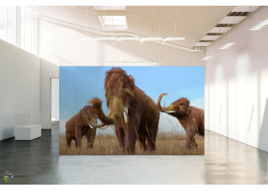 Állatos poszter TPALL051